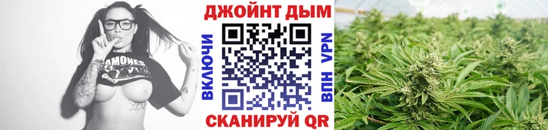 Шишки марихуана сатива  Купить закладки  Каневская 